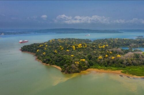 canal-de-panama-carbono-neutral-768x506