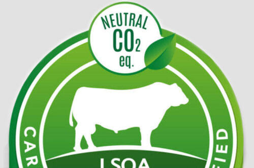 Uruguay exportará el primer embarque de carne verificada como carbono neutral de Sudamérica