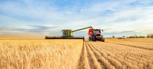 Se consolida suba de las exportaciones en primer semestre de 2022