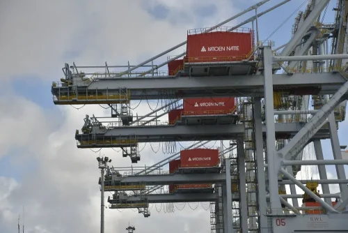 Terminal Cuenca del Plata Diego Battiste