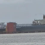 Nueva Palmira gana una operación que estaba prevista en Argentina y suma dos portacontenedores para la Hidrovía